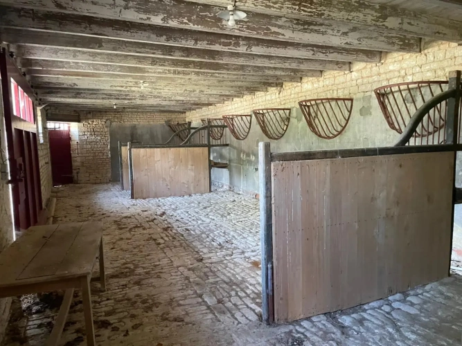 Photos 3 - Équestre - Propriété équestre à 10 min de Chef-Boutonne (79) – 334 m² habitables – 11 hectares