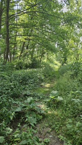Photos 6 - Équestre - Rare! Centre équestre au cœur de la nature