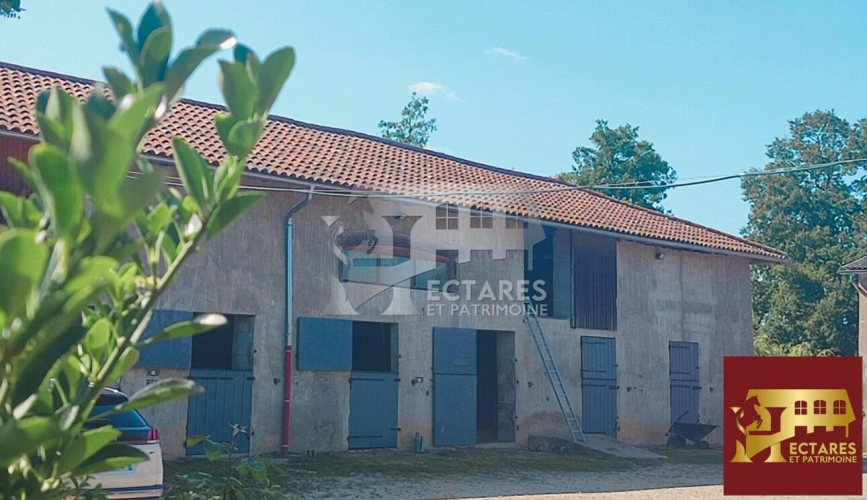 Photos 1 - Équestre - Propriété équestre 14 hectares