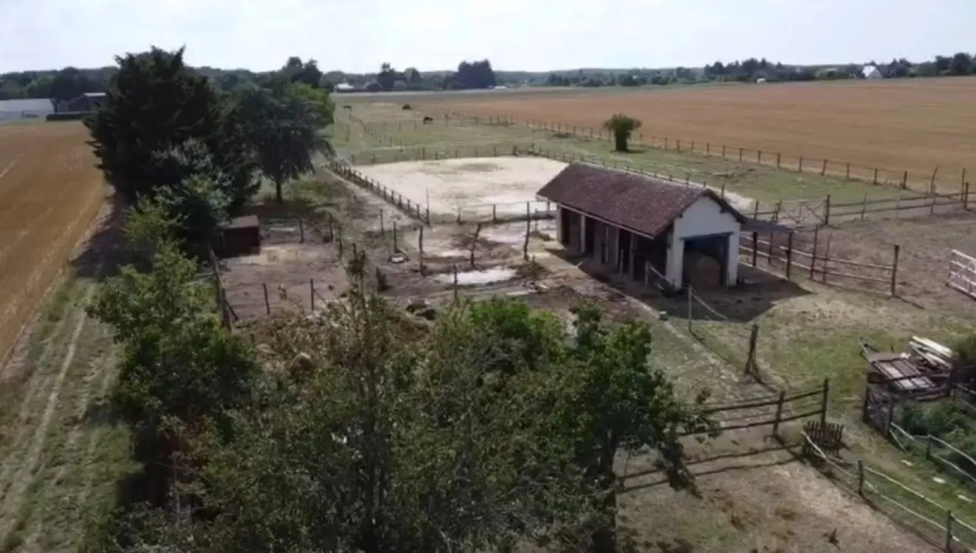 Photos 2 - Équestre - Propriété équestre sur 1,7 ha à 10 mn de BLOIS (41)