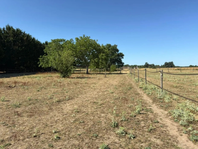Photos 3 - Équestre - Propriété équestre sur 1,7 ha à 10 mn de BLOIS (41)