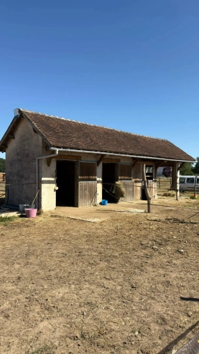Photos 4 - Équestre - Propriété équestre sur 1,7 ha à 10 mn de BLOIS (41)