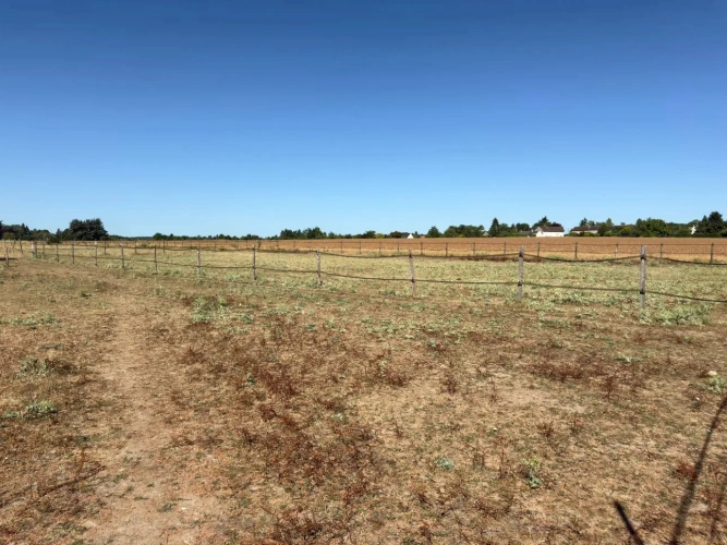 Photos 5 - Équestre - Propriété équestre sur 1,7 ha à 10 mn de BLOIS (41)