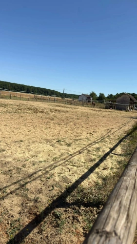 Photos 6 - Équestre - Propriété équestre sur 1,7 ha à 10 mn de BLOIS (41)