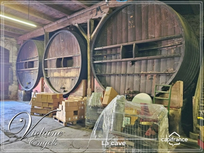 Photos 9 - Touristique - Domaine viticole d’exception à Cesseras – Minervois