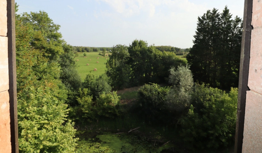 Photos 8 - Touristique - Moulin au cœur de la Bresse avec accès privé à la rivière - 585 m² sur 8553 m² de terrain