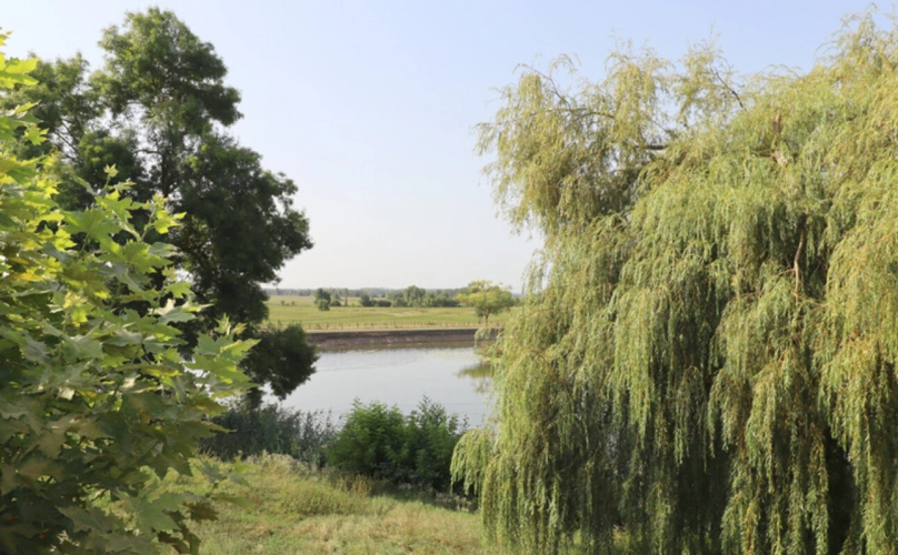 Photos 21 - Touristique - Moulin au cœur de la Bresse avec accès privé à la rivière - 585 m² sur 8553 m² de terrain