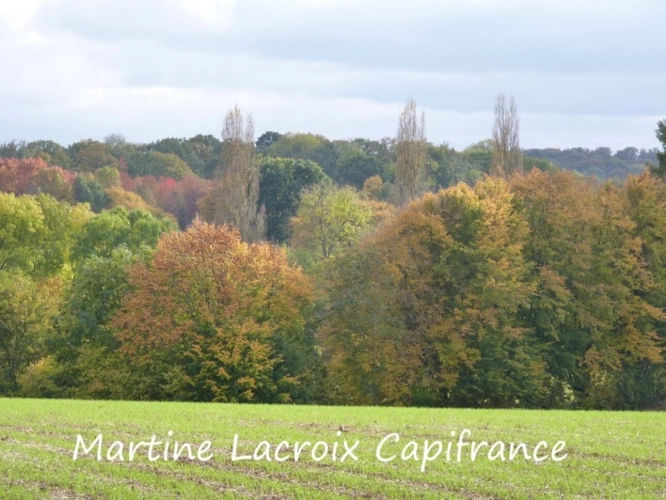 Photos 2 - Équestre - Dpt SARTHE (72), à vendre proche LA FERTE BERNARD - ENSEMBLE IMMOBILIER P7 de 253 m² - Terrain de 6,78 Ha