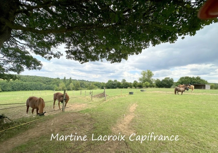Photos 13 - Équestre - Dpt SARTHE (72), à vendre proche LA FERTE BERNARD - ENSEMBLE IMMOBILIER P7 de 253 m² - Terrain de 6,78 Ha