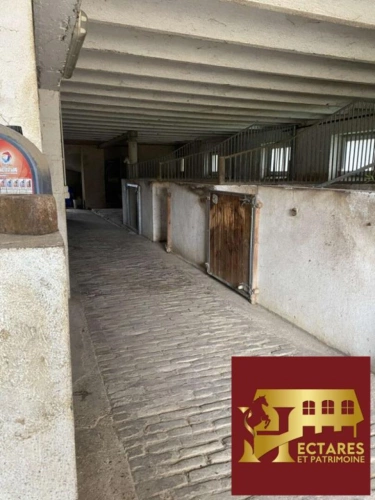 Photos 3 - Équestre - Propriété équestre avec habitation et installations équestres ? Secteur Lorraine TGV