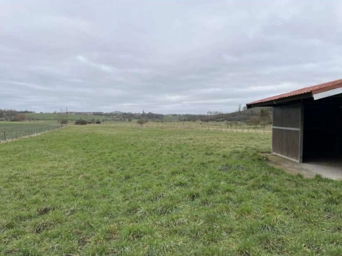 Photos 4 - Équestre - Propriété équestre avec habitation et installations équestres ? Secteur Lorraine TGV