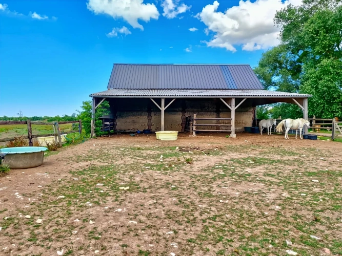 Photos 14 - Équestre - Petite proprieté avec jolie maison, gîte possible, sans voisins