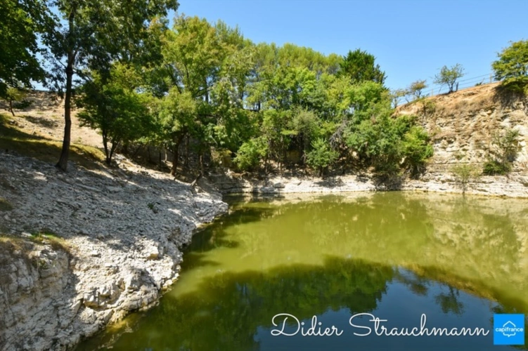 Photos 8 - Équestre - Propriete à vendre 8 pièces SURGERES (17)