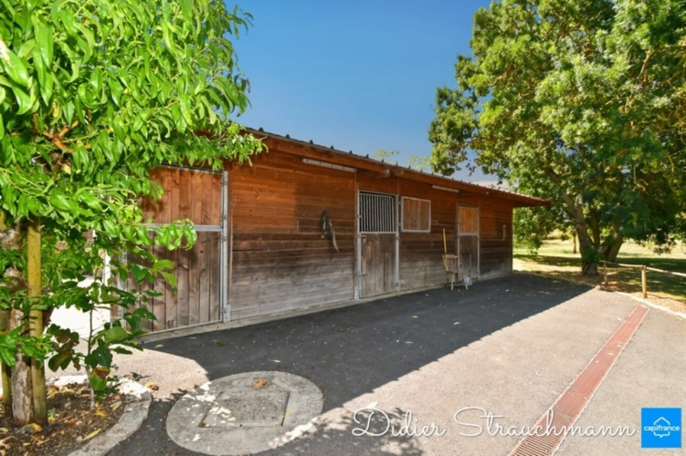 Photos 12 - Équestre - Propriete à vendre 8 pièces SURGERES (17)
