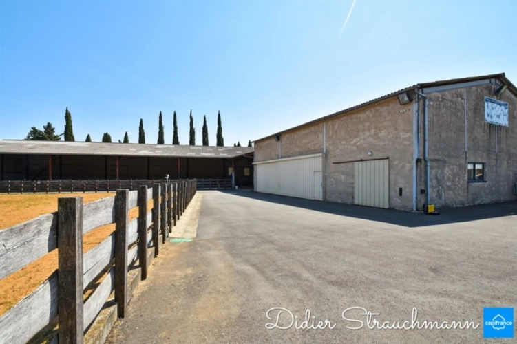 Photos 13 - Équestre - Propriete à vendre 8 pièces SURGERES (17)