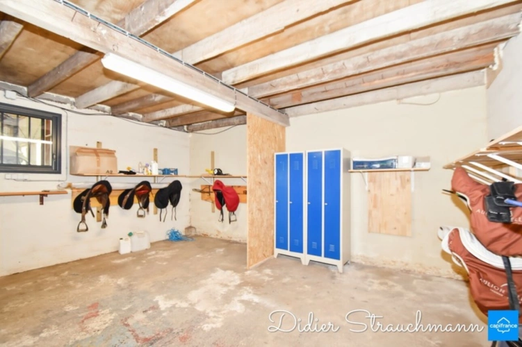 Photos 38 - Équestre - Propriete à vendre 8 pièces SURGERES (17)