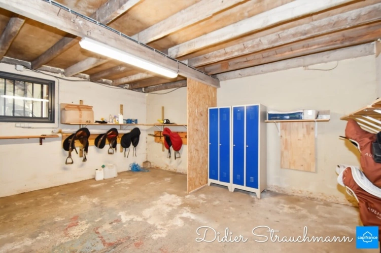 Photos 41 - Équestre - Propriete à vendre 8 pièces SURGERES (17)