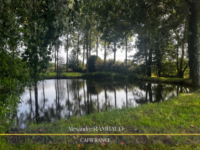 Photos 1 - Foncière - Etang à vendre proche de Fougères et Ernée