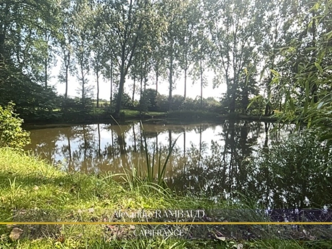 Photos 3 - Foncière - Etang à vendre proche de Fougères et Ernée
