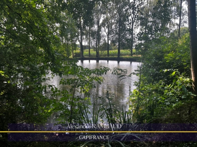 Photos 4 - Foncière - Etang à vendre proche de Fougères et Ernée