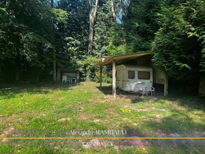 Photos 5 - Foncière - Etang à vendre proche de Fougères et Ernée