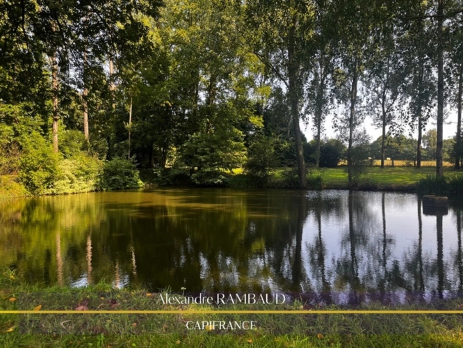 Photos 6 - Foncière - Etang à vendre proche de Fougères et Ernée