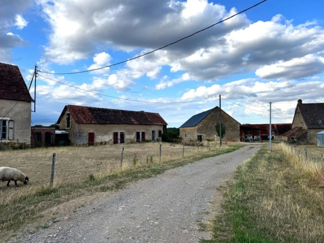Photos 7 - Agricole - Exploitation agricole d'élevage   108 hectares dans le Boisc