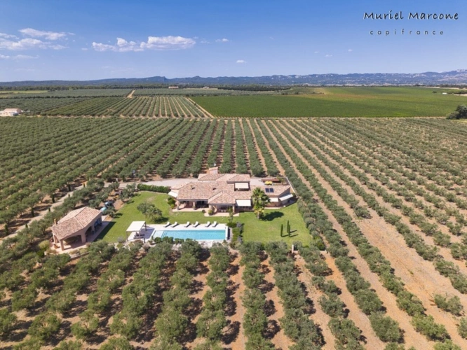Photos 2 - Agricole - Propriété d’exception de 290 m2 au cœur de la Vallée des Baux-de-Provence sur 25 hectares à vendre 7 pièces MOULES (13)