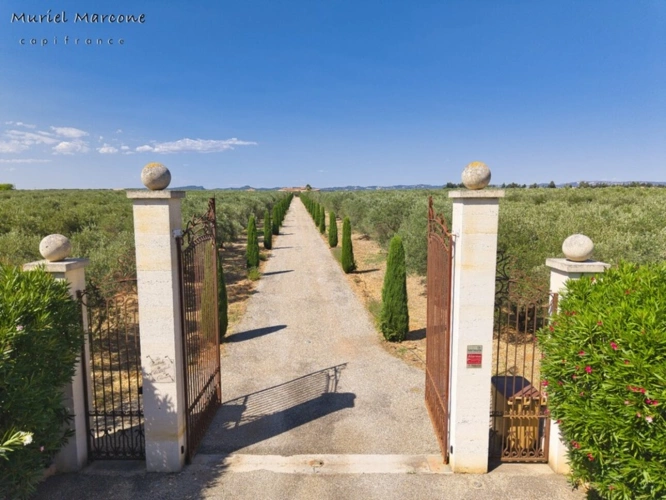 Photos 41 - Agricole - Propriété d’exception de 290 m2 au cœur de la Vallée des Baux-de-Provence sur 25 hectares à vendre 7 pièces MOULES (13)