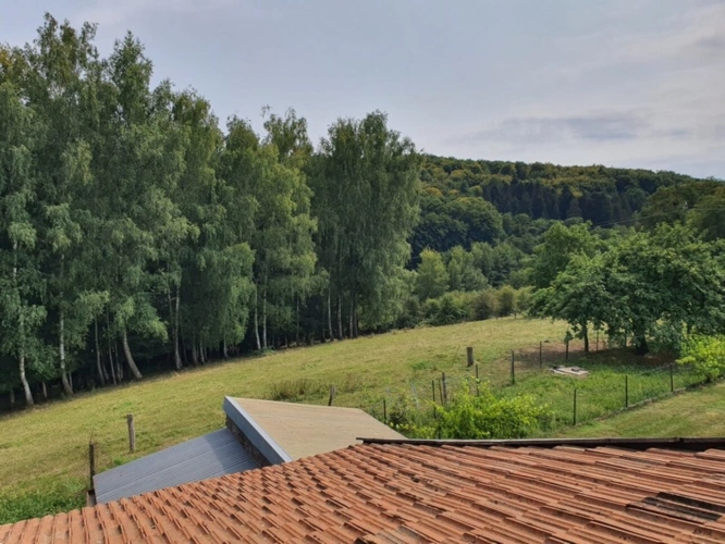 Photos 5 - Équestre - PROPRIÉTÉ sur 4 ha à vendre 7 pièces secteur XERTIGNY  (88) MAISON et partie FERME