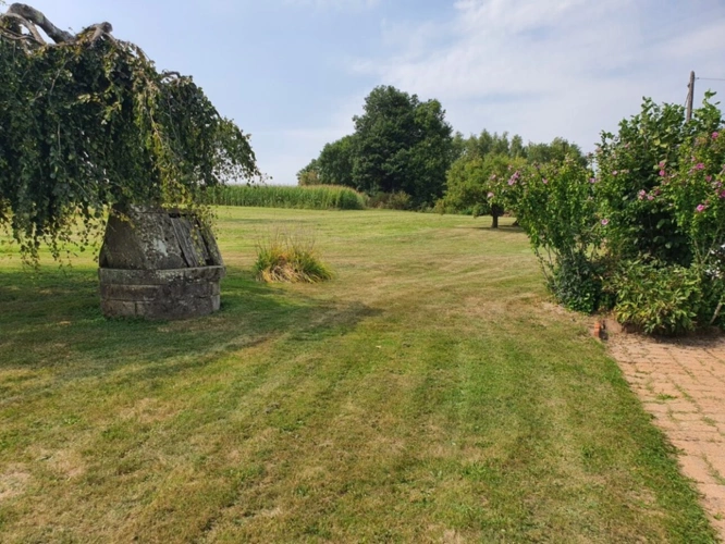 Photos 8 - Équestre - PROPRIÉTÉ sur 4 ha à vendre 7 pièces secteur XERTIGNY  (88) MAISON et partie FERME