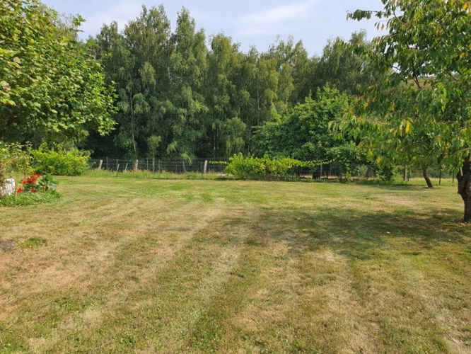 Photos 9 - Équestre - PROPRIÉTÉ sur 4 ha à vendre 7 pièces secteur XERTIGNY  (88) MAISON et partie FERME