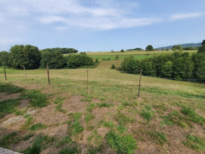 Photos 11 - Équestre - PROPRIÉTÉ sur 4 ha à vendre 7 pièces secteur XERTIGNY  (88) MAISON et partie FERME