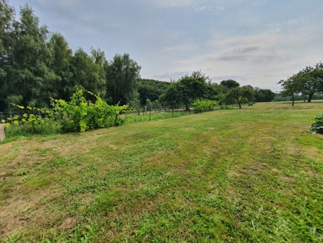 Photos 12 - Équestre - PROPRIÉTÉ sur 4 ha à vendre 7 pièces secteur XERTIGNY  (88) MAISON et partie FERME