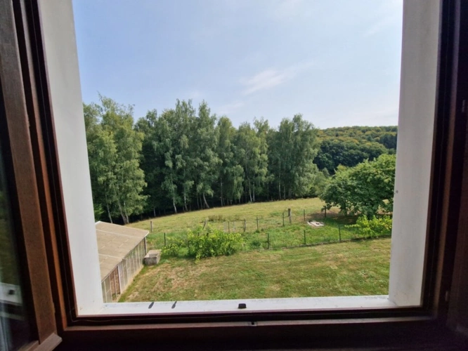 Photos 17 - Équestre - PROPRIÉTÉ sur 4 ha à vendre 7 pièces secteur XERTIGNY  (88) MAISON et partie FERME