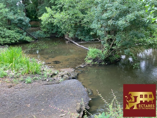 Photos 11 - Équestre - Véritable Moulin du 17 ème Siècle