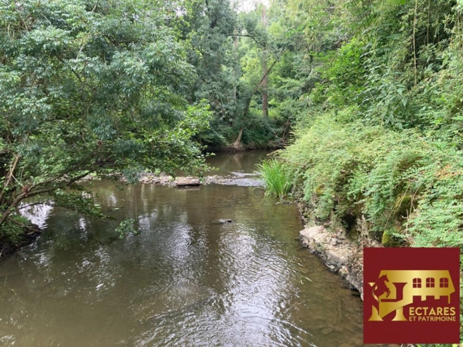 Photos 13 - Équestre - Véritable Moulin du 17 ème Siècle