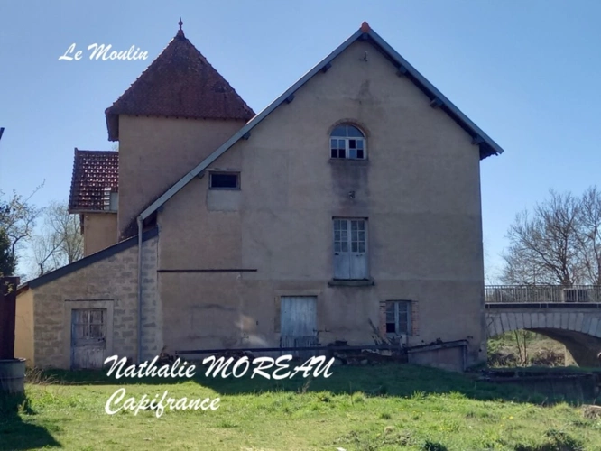Photos 3 - Prestige - Propriete à vendre 7 pièces IGORNAY (71) - Ancienne tour Médiéval et Moulin à Eau