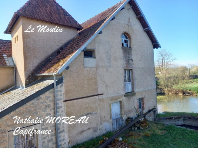 Photos 17 - Prestige - Propriete à vendre 7 pièces IGORNAY (71) - Ancienne tour Médiéval et Moulin à Eau