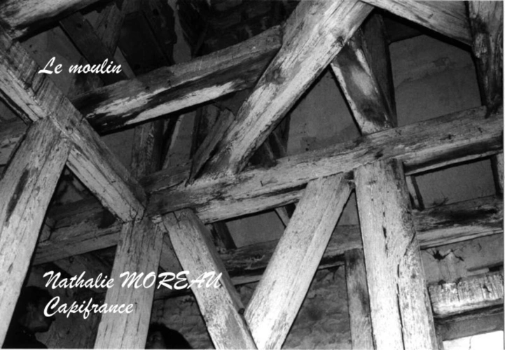Photos 24 - Prestige - Propriete à vendre 7 pièces IGORNAY (71) - Ancienne tour Médiéval et Moulin à Eau