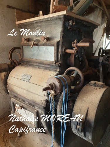 Photos 26 - Prestige - Propriete à vendre 7 pièces IGORNAY (71) - Ancienne tour Médiéval et Moulin à Eau