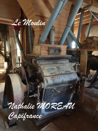 Photos 27 - Prestige - Propriete à vendre 7 pièces IGORNAY (71) - Ancienne tour Médiéval et Moulin à Eau
