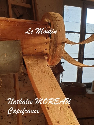 Photos 29 - Prestige - Propriete à vendre 7 pièces IGORNAY (71) - Ancienne tour Médiéval et Moulin à Eau