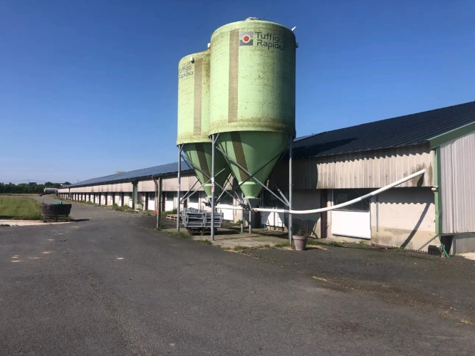 Photos 1 - Agricole - Exploitation Avicole située entre Lesneven et les plages du Nord Finistère