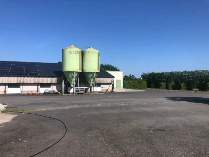 Photos 8 - Agricole - Exploitation Avicole située entre Lesneven et les plages du Nord Finistère