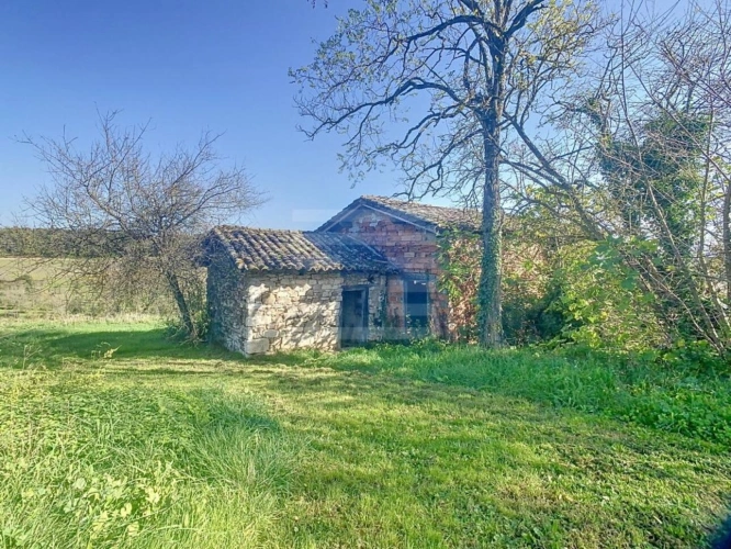 Photos 7 - Prestige - Propriété agricole