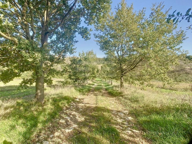 Photos 10 - Prestige - Propriété agricole