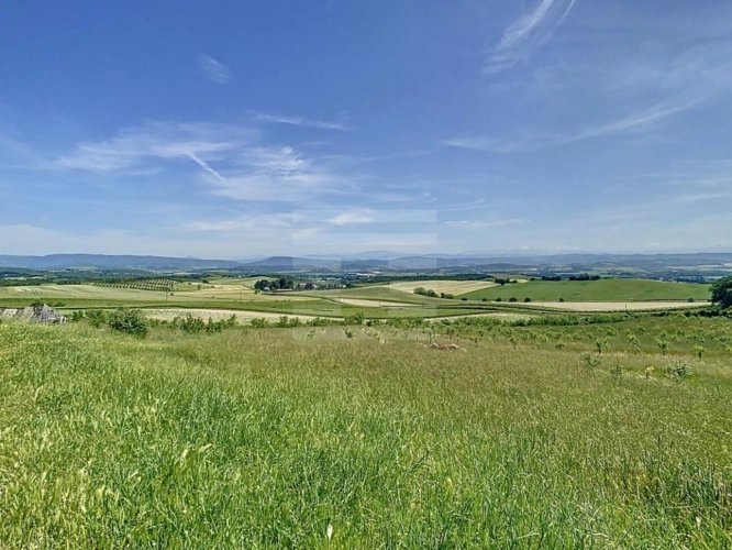 Photos 12 - Agricole - Domaine
