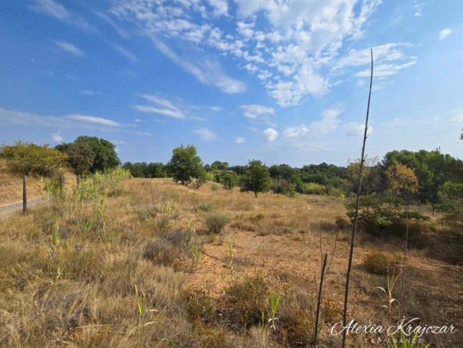 Photos 2 - Foncière - A VENDRE - Terrain Agricole, 4764m² - CORNEILHAN (34)