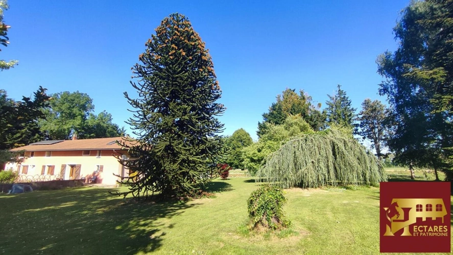 Photos 3 - Équestre - Ferme bressane 7 hectares sans voisin